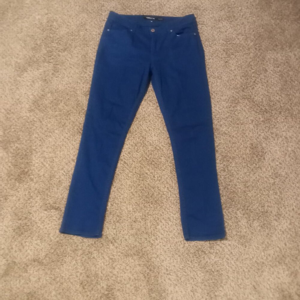 Jordache Blue Skinny Jeans Size 12